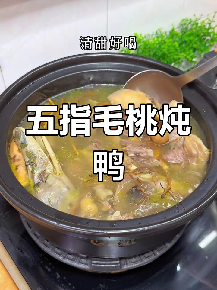 广东五指毛桃鸭汤,椰香浓郁,鲜美可口