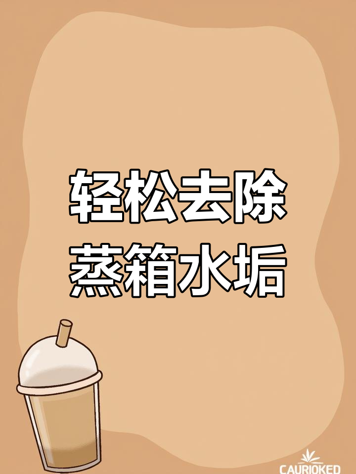 蒸箱水垢清理全攻略