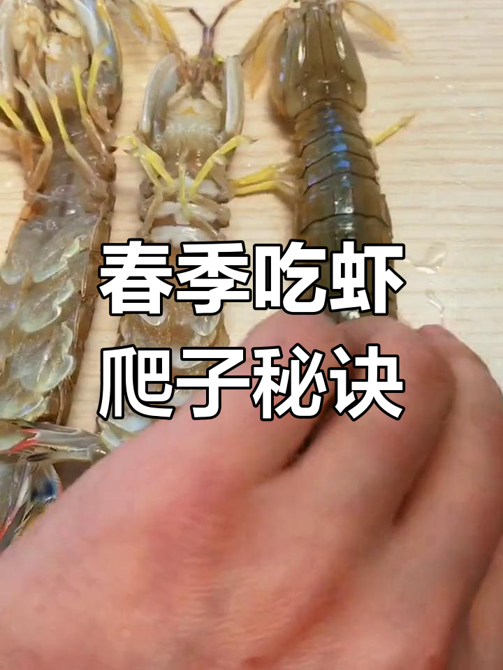 大连虾爬子挑选技巧,教你如何选肥美!