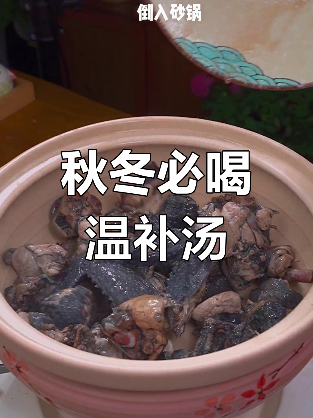 冬季必备暖心汤,老公煲的菌菇乌鸡汤让你暖和又滋补