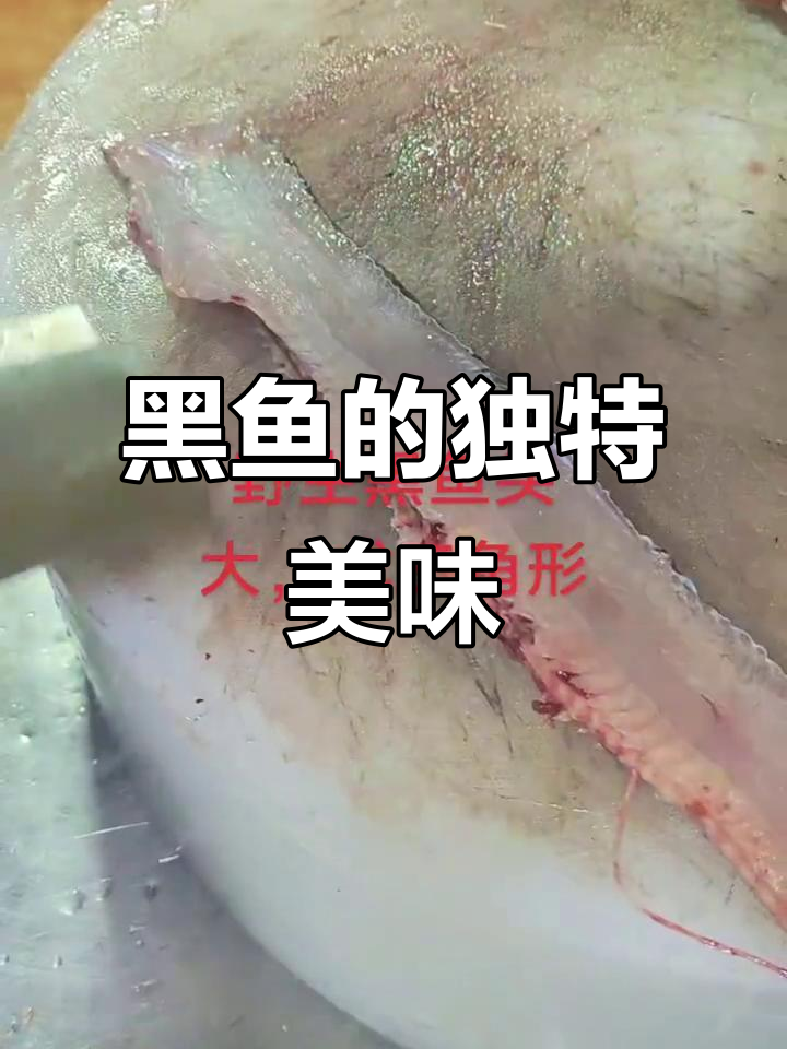 野生黑鱼,线条完美,肉质鲜美紧实,口感绝佳!