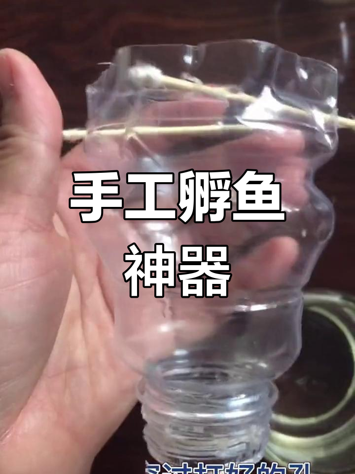 自制小鱼孵化器,废物变宝