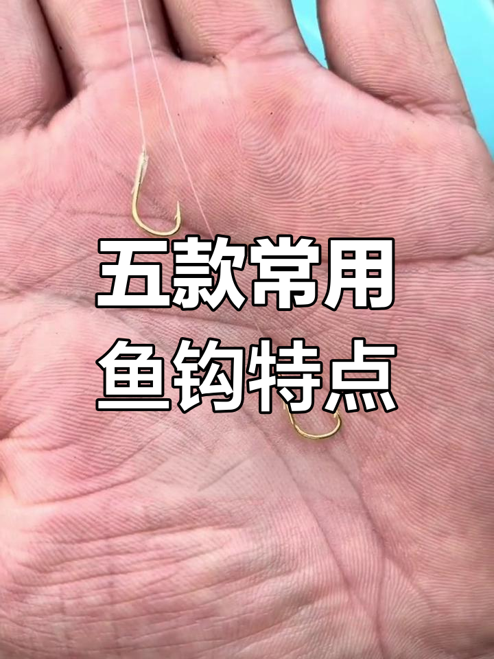 经典鱼钩类型与适用场景解析