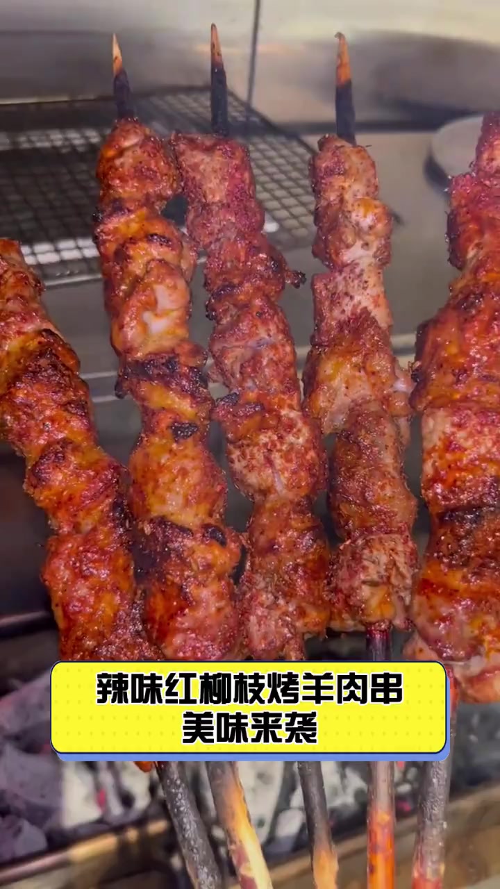 辣味红柳枝烤羊肉串,美味来袭