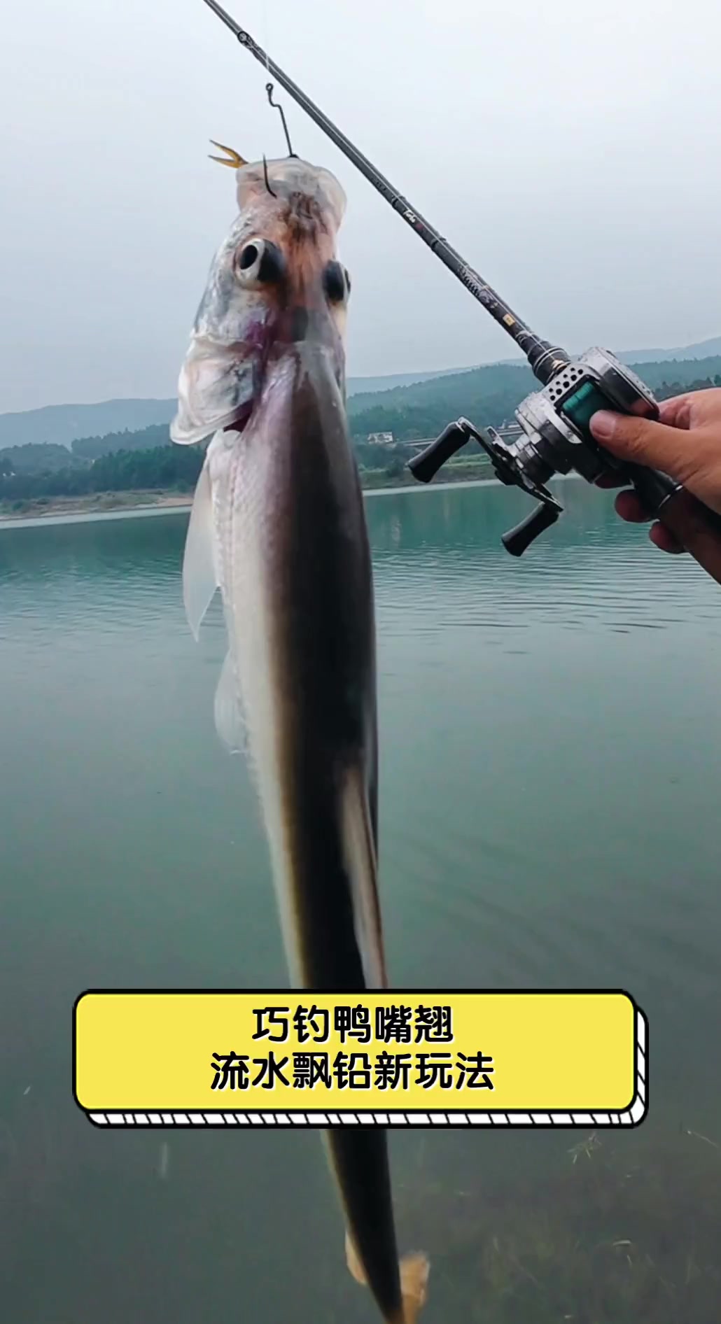 巧钓鸭嘴翘,流水飘铅新玩法