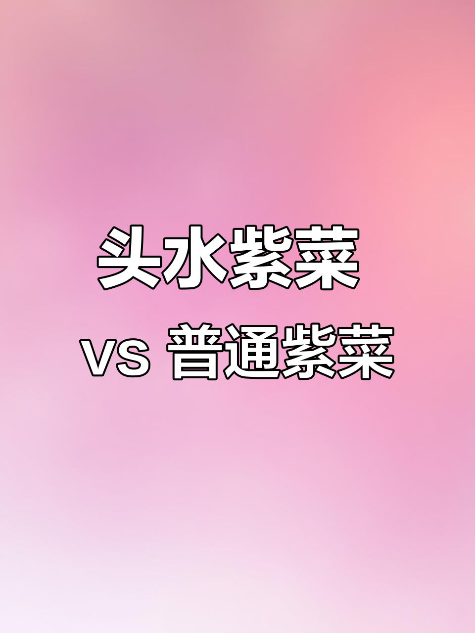 头水紫菜与普通紫菜的差别,口感和营养全解析