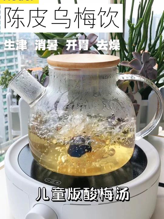 夏季儿童酸梅汤|去内热!生津消暑!酸甜可口