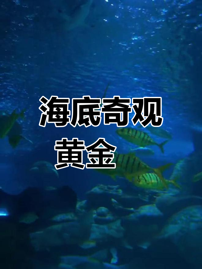 黄金鲹:海底世界的领航员