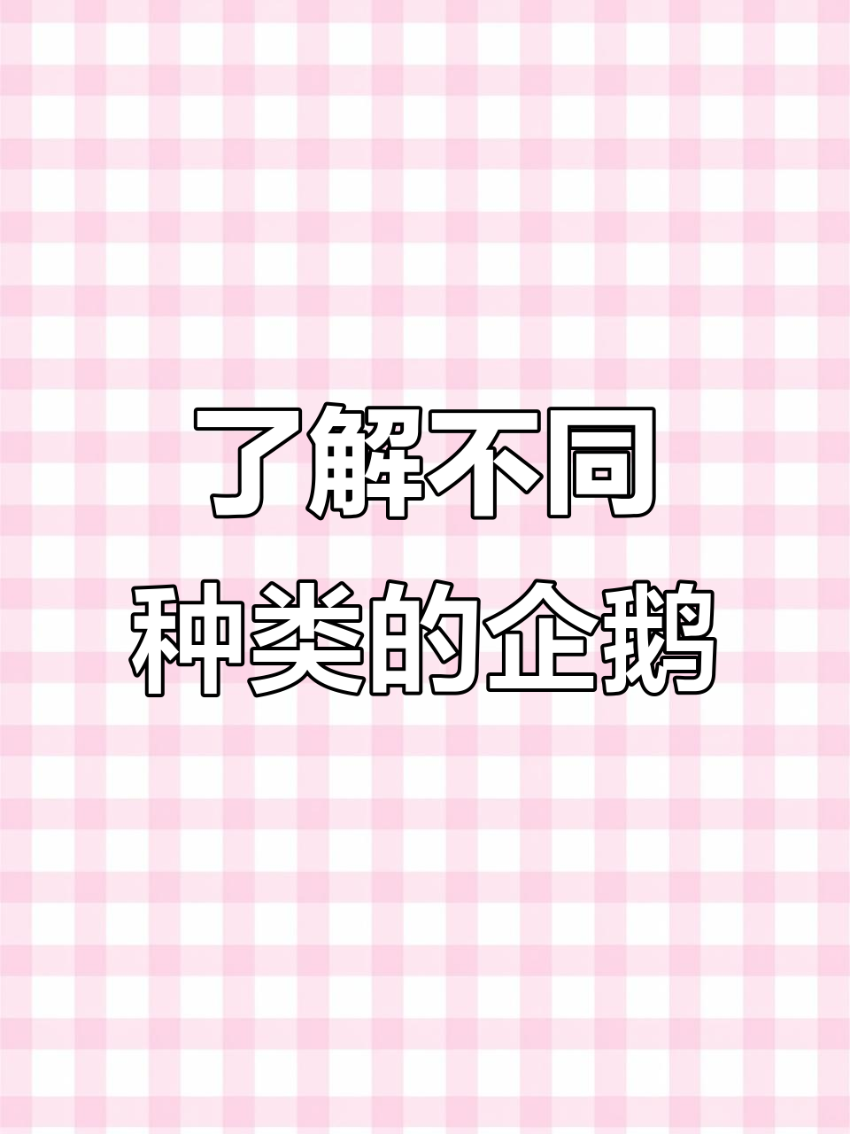 探秘企鹅家族：各种企鹅走路的独特魅力