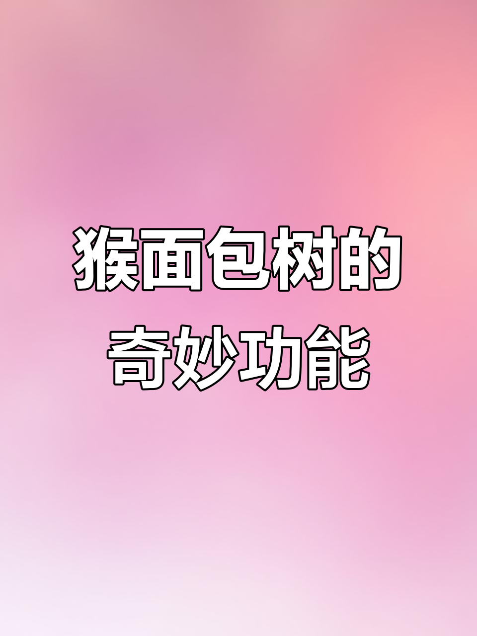 非洲猴面包树：能吃的房子，神奇的自然宝藏