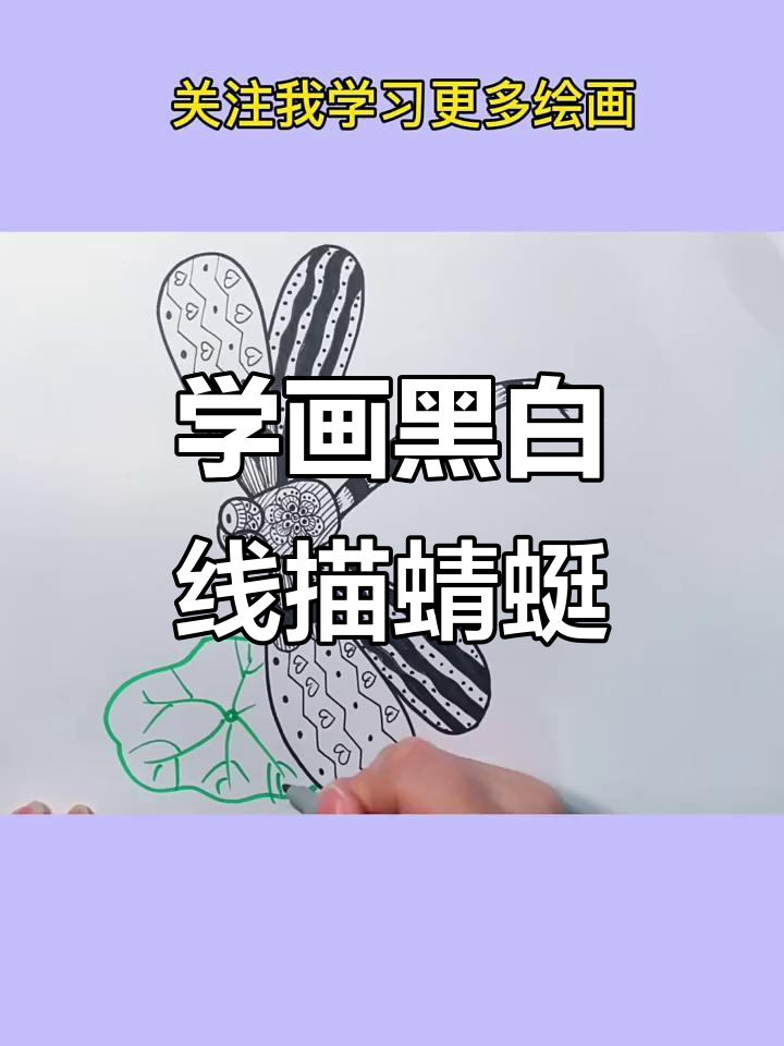 轻松学画黑白线描蜻蜓,创意儿童画教程