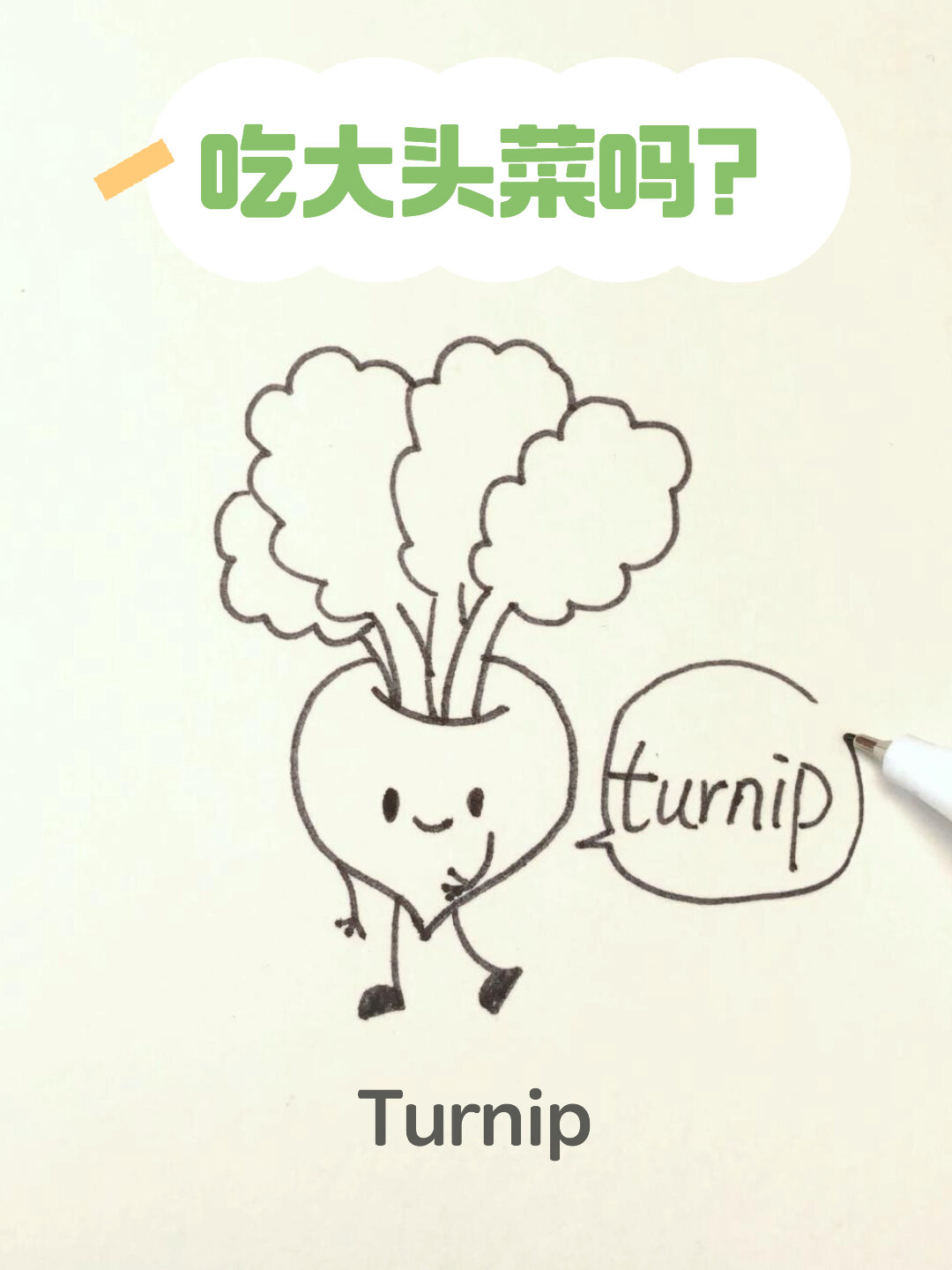 简笔画蔬菜篇大头菜,鸭姐鸭妹蔬菜篇第二弹