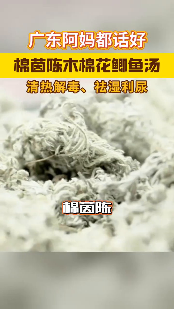 广东阿妈都话好!棉茵陈木棉花鲫鱼汤,清热解毒、祛湿利尿