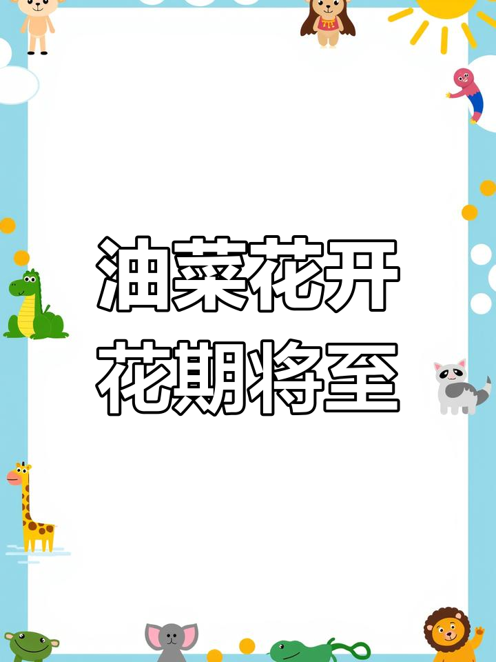 2025年江苏兴化千垛油菜花28日最佳观赏
