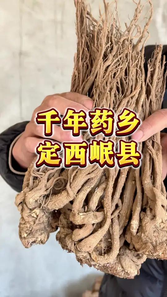 甘肃岷县素有“千年药乡”和“中国当归之乡”之称,是全国有名的道地中药材主产区想要当归一定请