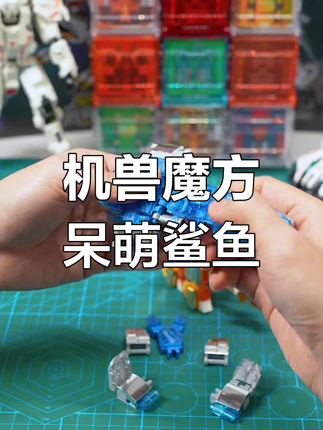 呆萌大头鲨鱼拼装挑战,改装造型太奇怪了!