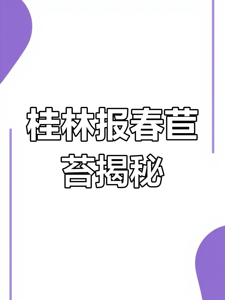 桂林报春苣苔:从阳朔到梅雨天,花的变化与挑战