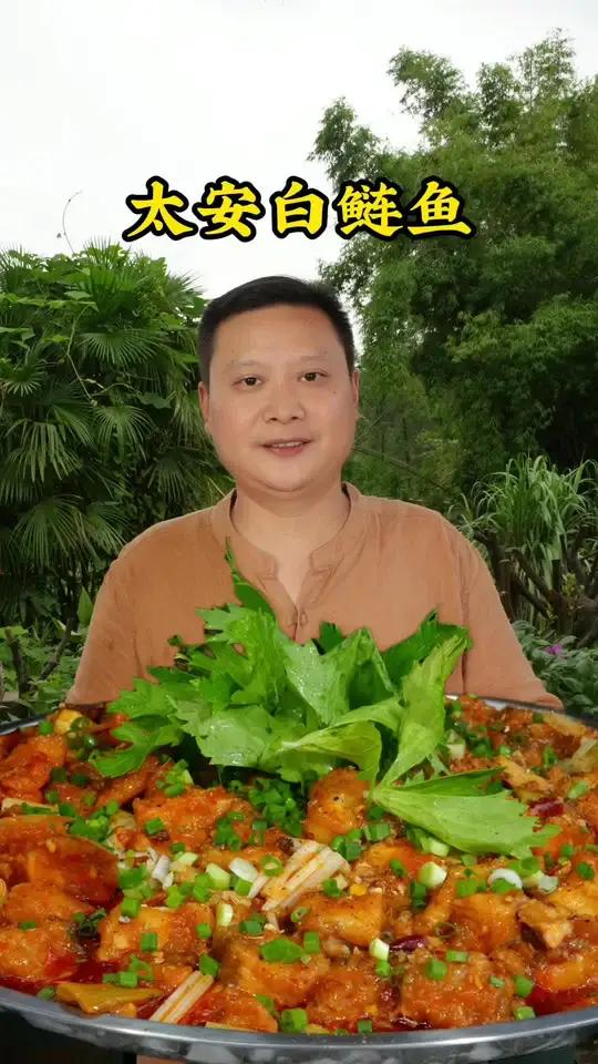 重庆潼南的太安鱼可以用白鲢鱼做 太安鱼肉质细嫩一点泥腥味也没有，有了正宗非遗太安鱼佐料你也