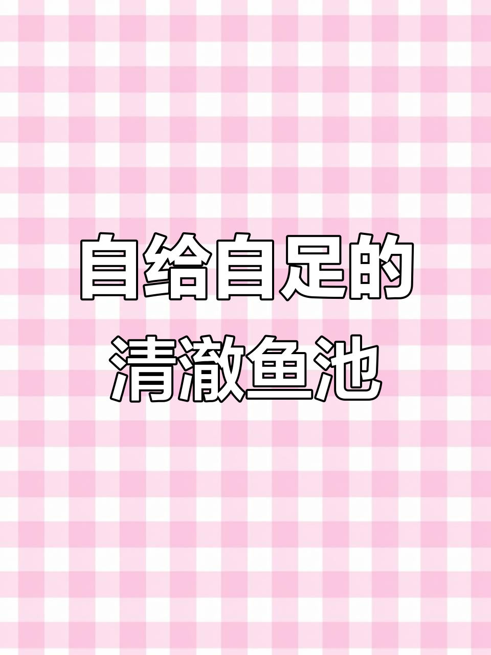 生态鱼池如何实现清澈与自净,打造自然水循环系统