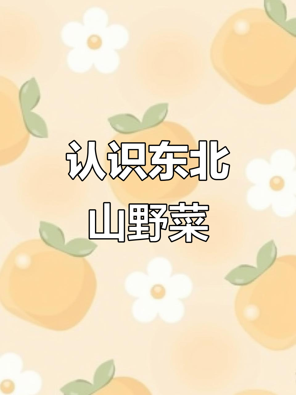 东北山野菜大揭秘,你能叫出几种?