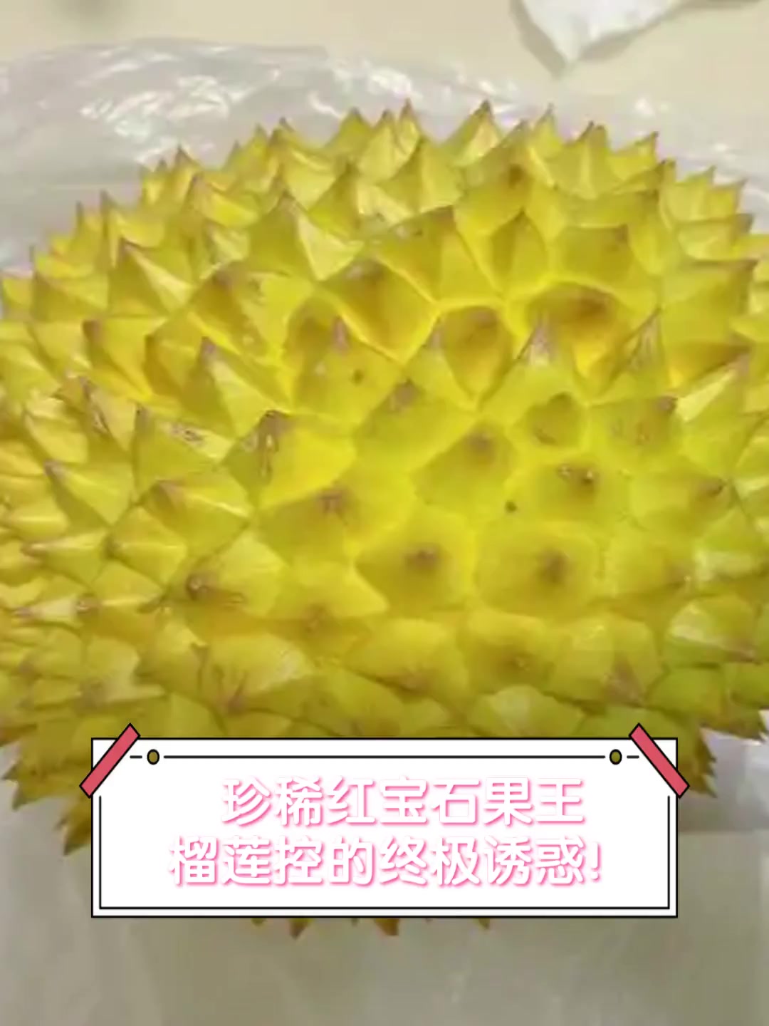 珍稀红宝石果王,榴莲控的终极诱惑!