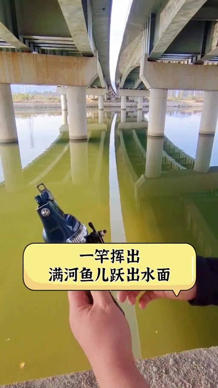 一竿挥出,满河鱼儿跃出水面