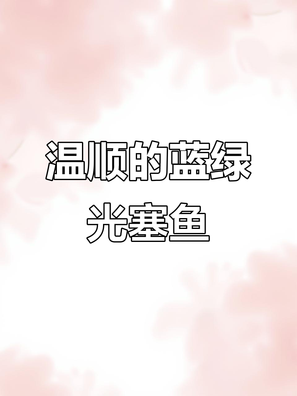 蓝绿光鳃鱼:热带海水中的美丽和平使者