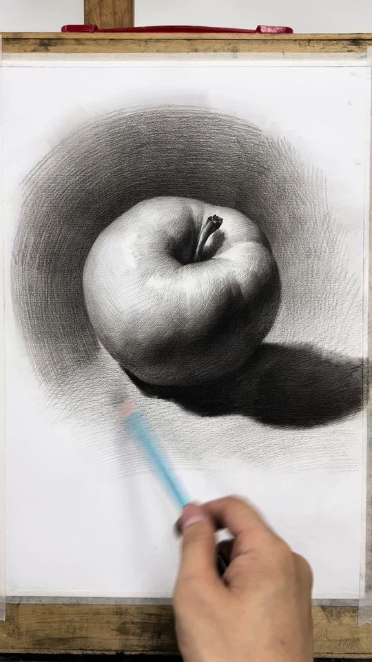 苹果素描标准画法，零基础学绘画