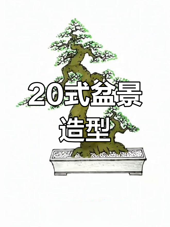 盆景造型技巧大全:20种经典款式解析