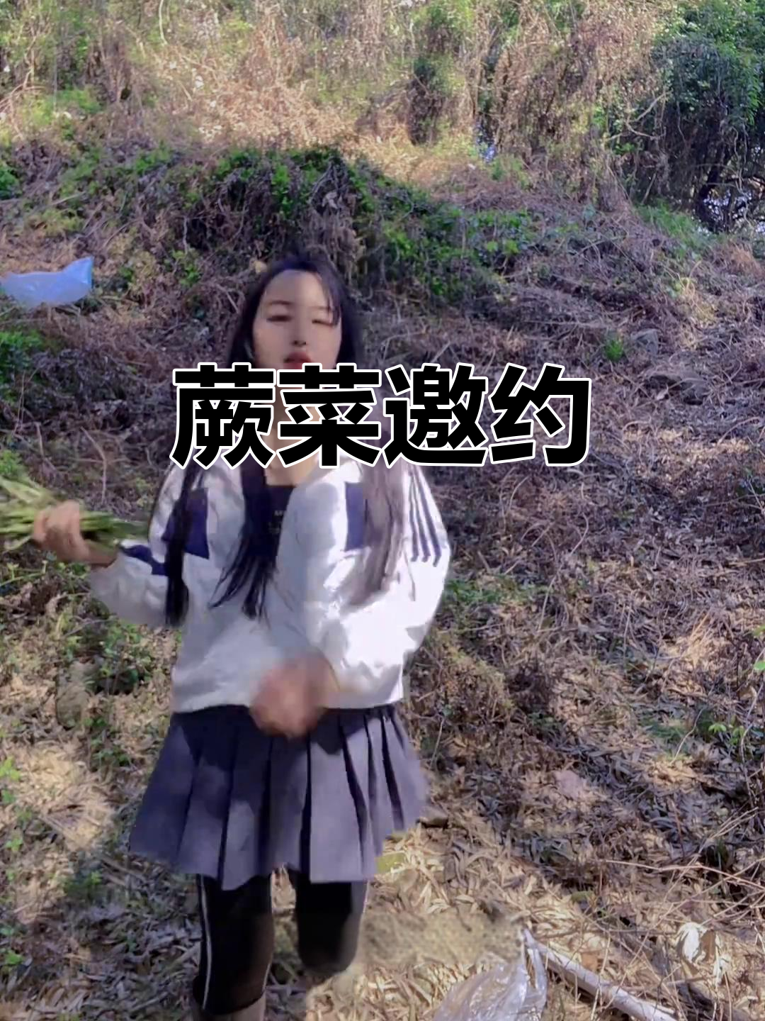 蕨菜盛季,湖南朋友快来德清一起挖野味!
