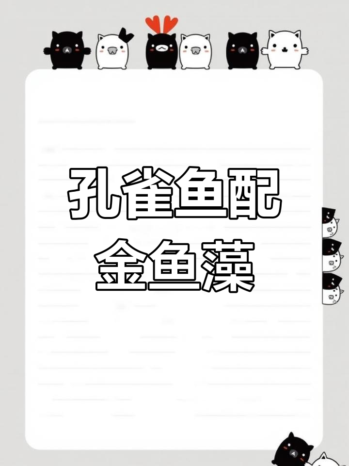 金鱼藻替代繁殖盒,孔雀鱼宝宝无忧无虑