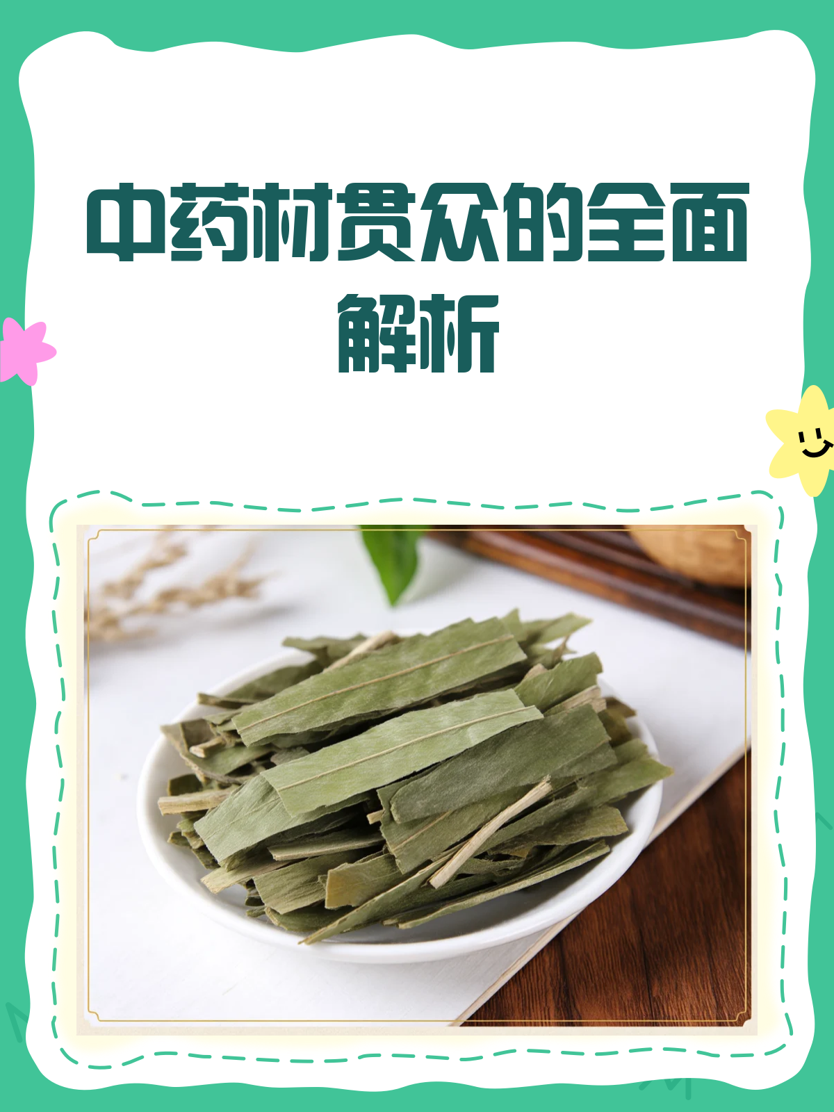中药材贯众:功效、副作用与禁忌全解析