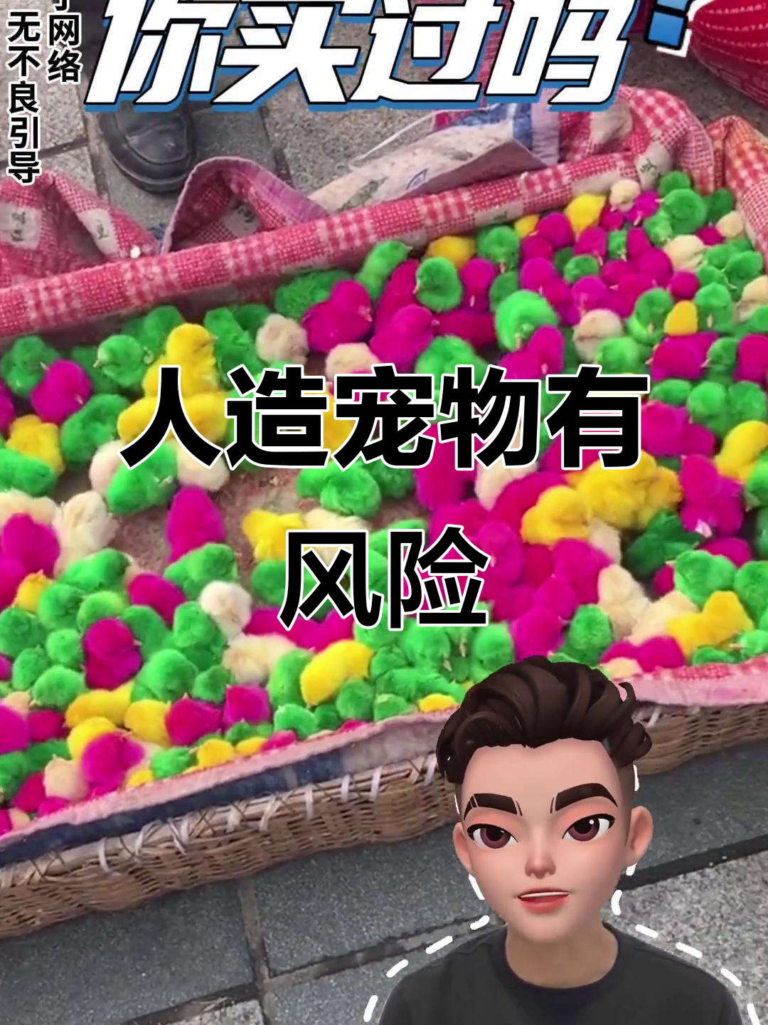 网红染色小鸡和乌龟,背后隐藏的隐患你了解吗?