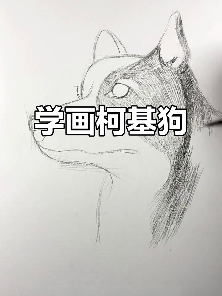 教你画一只超萌柯基犬,简单又可爱!