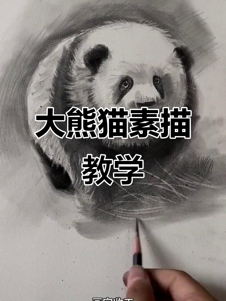 素描大熊猫教程,轻松画出可爱卡通形象