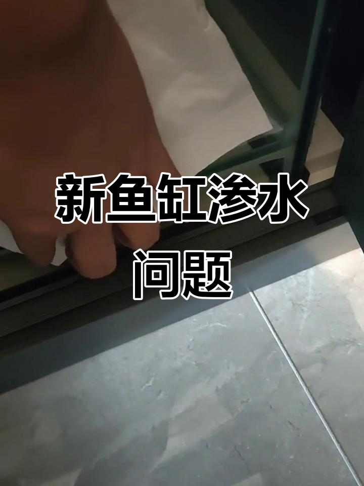 京东森森鱼缸漏水,家具被泡客服不作为