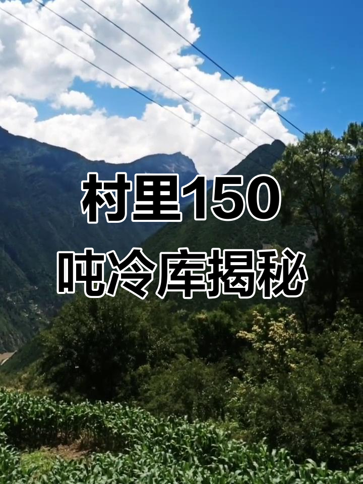 龙给村里的蔬菜冷库与美景展示,150吨冷藏能力超乎想象