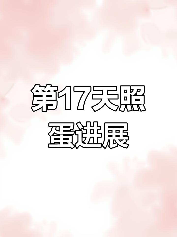 人工孵化小鸡全程记录:第17天照蛋,发育进度如何?