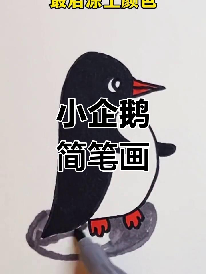 轻松画小企鹅,简单又可爱!