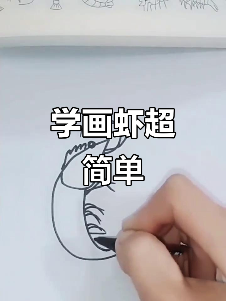 学会这本简笔画,虾也能轻松画出来!