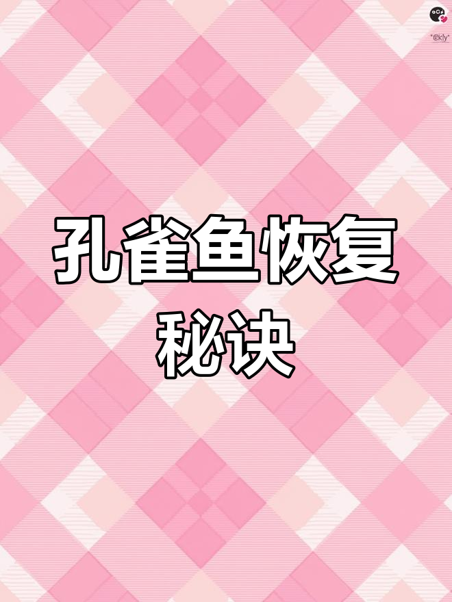 孔雀鱼尾巴萎缩?升温、加盐,第二天就恢复了!
