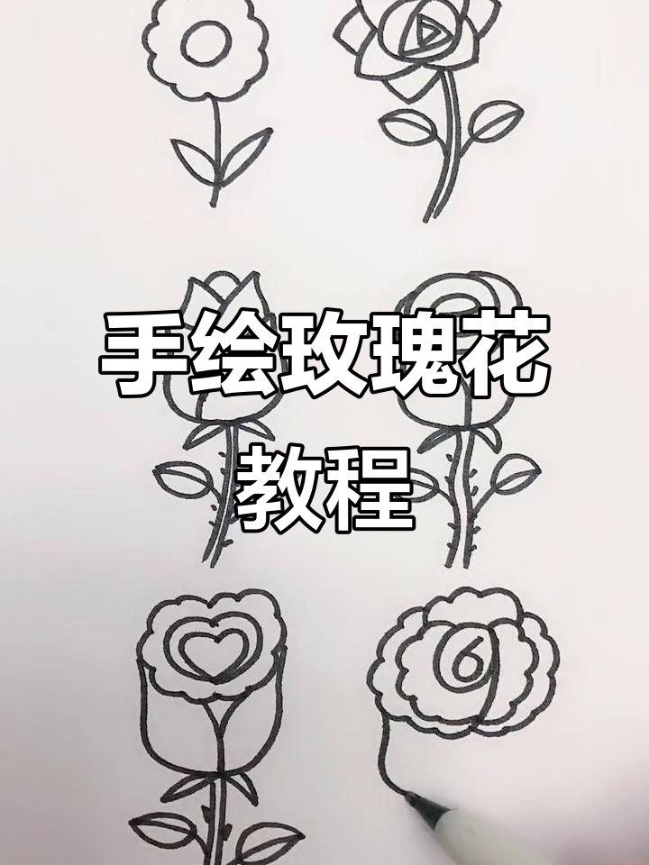 儿童简笔画教程:从一年级到六年级,轻松学会画玫瑰花