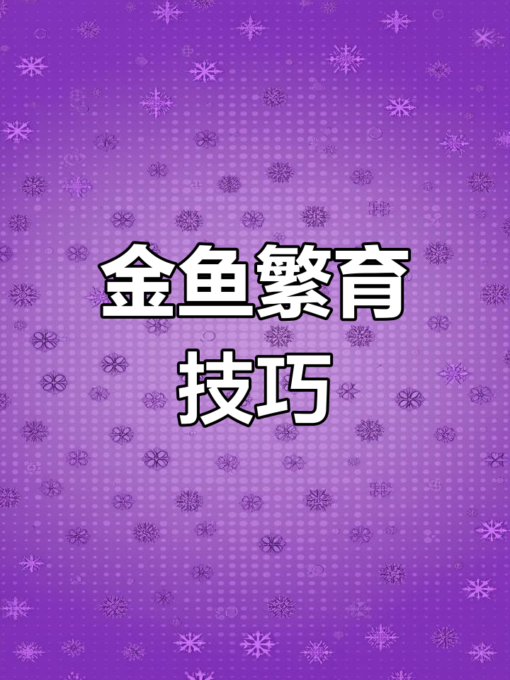 兰寿金鱼繁殖全攻略:从排卵到孵化小鱼的详细步骤
