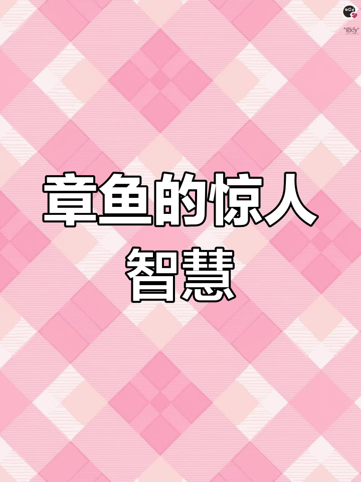 章鱼拥有九个大脑,比人类还聪明!