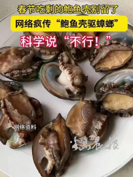 网传鲍鱼壳除蟑螂，鲍鱼壳：我只是壳，真的管不住蟑螂