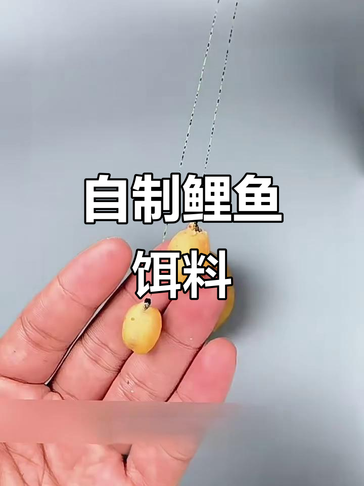 鲤鱼鲫鱼最爱！两杯面粉加蛋，轻松做饵料