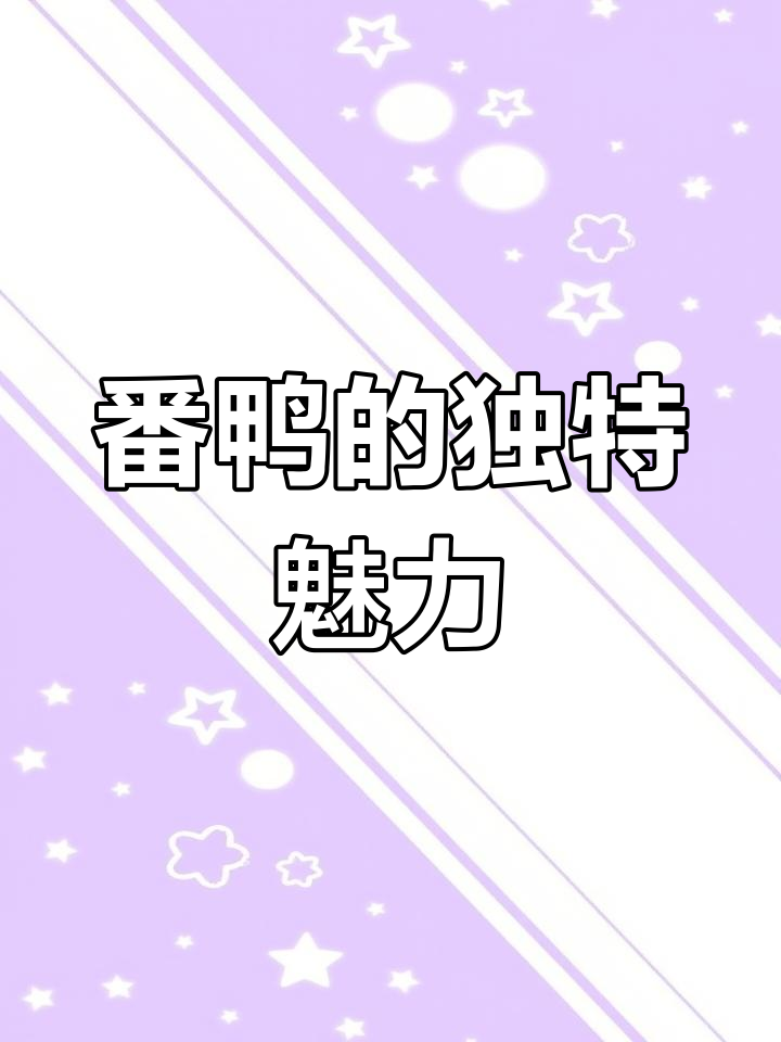 番鸭为何鲜美却少人养殖?揭秘肉瘤与麝香的秘密