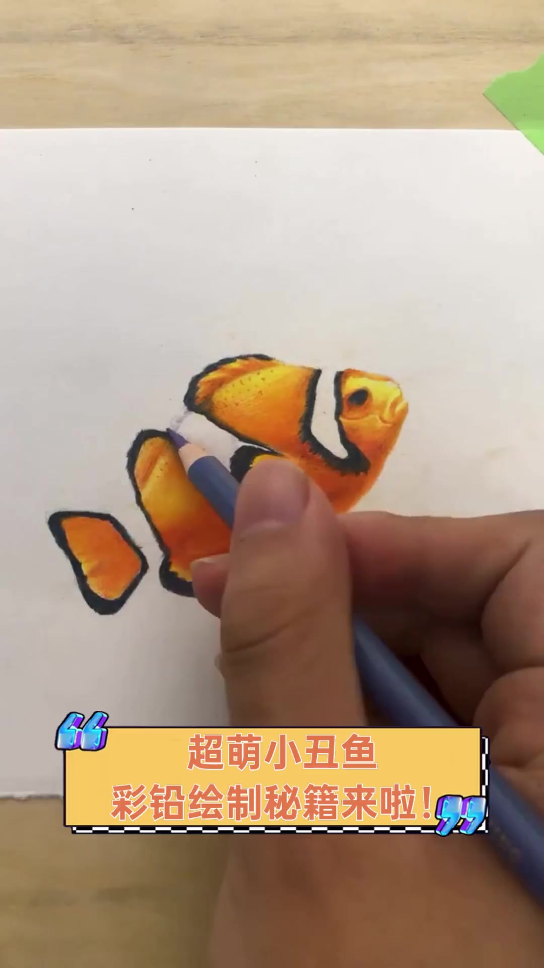 超萌小丑鱼,彩铅绘制秘籍来啦!