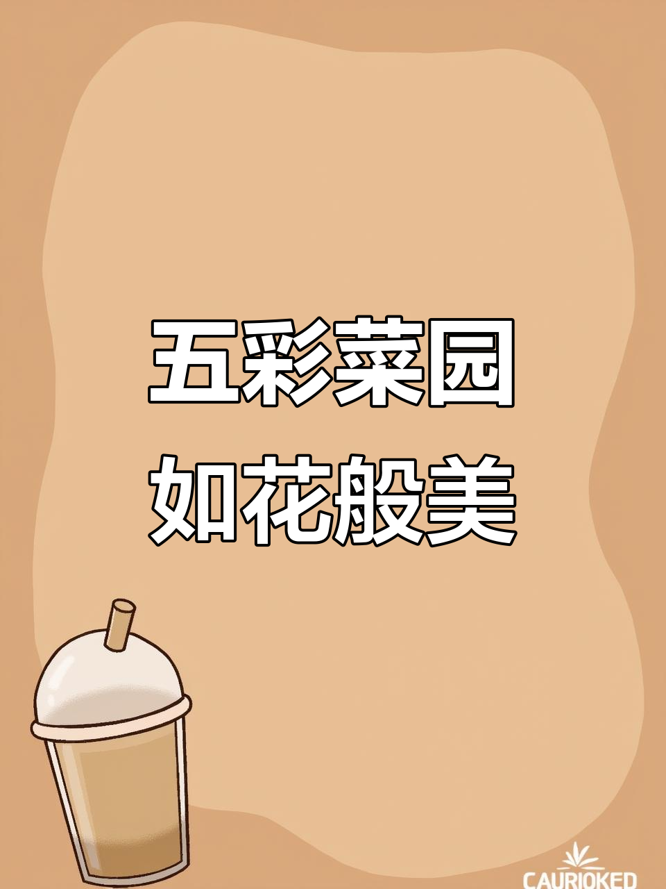 菜园也能变花园,五彩蔬菜打造美丽田园