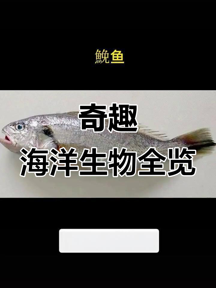 各种奇特鱼类大揭秘，从红木莲到黑雕鱼一网打尽